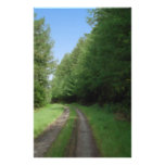 Nice scenic view of a pathway and trees. custom stationery
