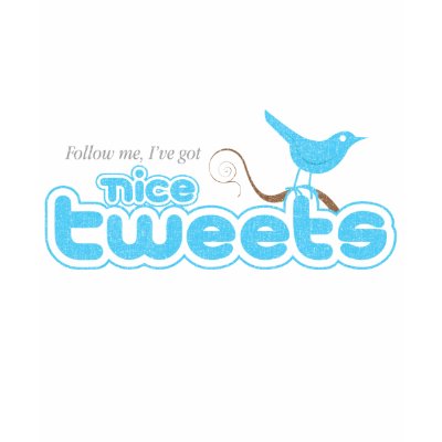 Nice Tweets Long Sleeve Ladies T Tshirt by 404creative