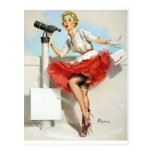 Nice View Pin Up Post Card
