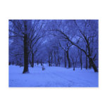 winter, cold, strom, weather, walk, central, nyc,