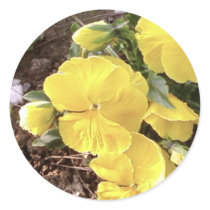 Nice Yellow Flower In Garden stickers by lifesphere Nice Yellow Flower In Garden stickers