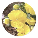Nice Yellow Flower In Garden Round Stickers