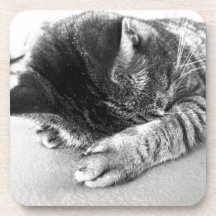 nicely cat sleeps on the bed sweetly drink coaster