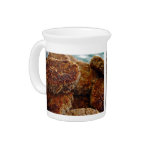Nicely Grilled veggie patties Pitcher