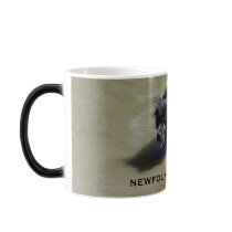 NICHOLAS OUR FAVORITE NEWFIE mugs