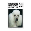 Nick_A postage