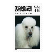 Nick_A postage by rikdgoodman Nick_A postage
