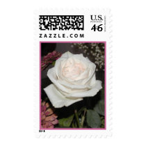 Nick's Rose postage by meia7214N Nick's Rose postage