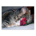 Nicky & A Rose cards
