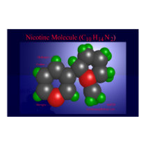 Nicotine Molecule (print)