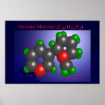 Nicotine Molecule (print)