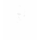 edun_live_tshirt - from the "Author Profile" Series