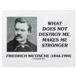 Nietzsche What Does Not Destroy Me Makes Stronger flyers