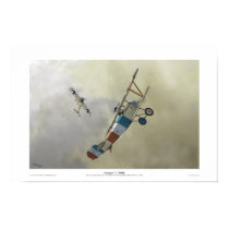 Nieuport 11 ‘BéBé’ posters by thevaw Nieuport 11 ‘BéBé’ posters