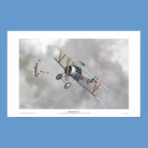 Nieuport Nie.17 posters
