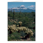 Nieve en cuatro flores de los picos tarjetas