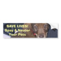 Nigel says: SAVE LIVES! Spay & NeuterYour Pets bumper stickers by roxysmama Nigel says: SAVE LIVES! Spay & NeuterYour Pets bumper stickers