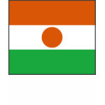Niger Flag Map Spaghetti Top