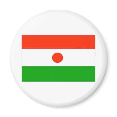 Niger Flag Magnets by CulturalPerspective3