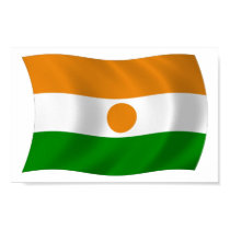 Niger Flag Poster Print