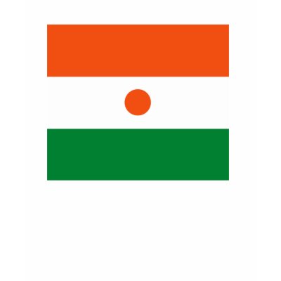 Niger Flag T-shirt by FlagTshirts