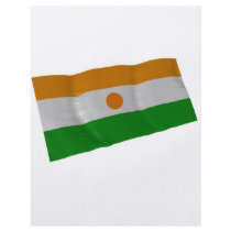 niger custom flyer