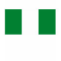 Nigeria Flag T-shirt by FlagTshirts Nigeria Flag T-shirt