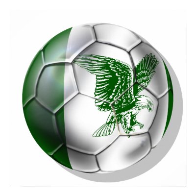 nigeria_super_eagles_soccer_team_fans_ball_poster-p228090703753898449tdcp_400.jpg