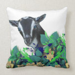 Nigerian Dwarf Goat Herd Name Goat Pillow pillows