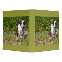 Nigerian Pygmy Goat binders