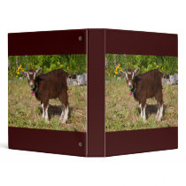 Nigerian Pygmy Goat binders