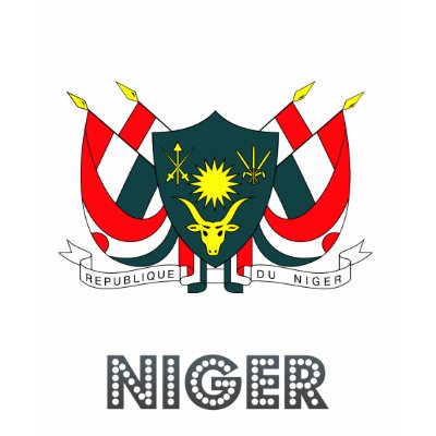 nigerien emblem tshirt