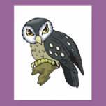 nigh owl