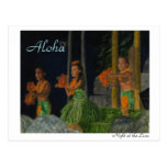 Night at the Luau Postcard