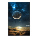 Night Birds posters