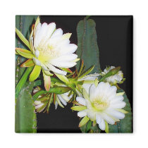 Night Bloomer Refrigerator Magnet