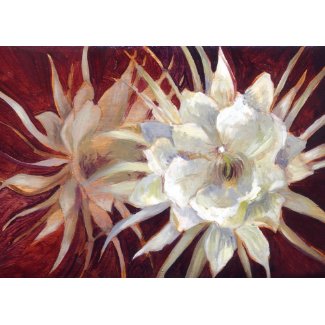 Night-Blooming Cereus card