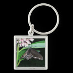 Night Butterfly Keychain