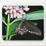 Night Butterfly Mousepad