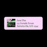 Night Butterfly Return Address Label