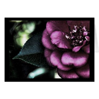 Night Camellia card