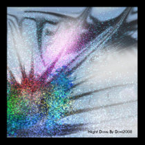 Night Dove posters by DoviGirl2008 Night Dove posters