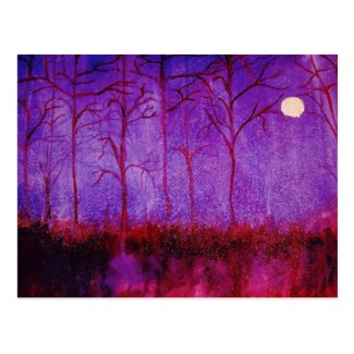 Night Enchanted Post Cards