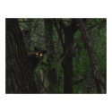 Night Eyes posters