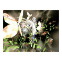 Night Fairy posters
