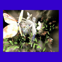 Night Fairy posters