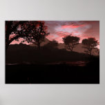 Night falls print
