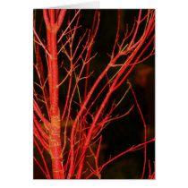 Night Fire cards by CalliopeCreations Night Fire cards