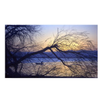 Night Fishing in Barr Lake Colorado posters