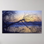 Night Fishing in Barr Lake Colorado posters